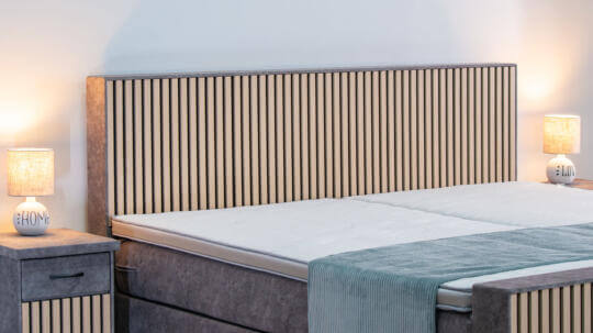 Scay DS-Grau_CS-Blassgrün2